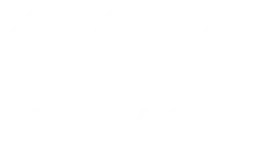 Vector